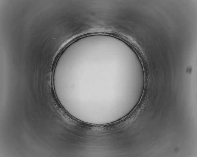 X0000095541220200712141016