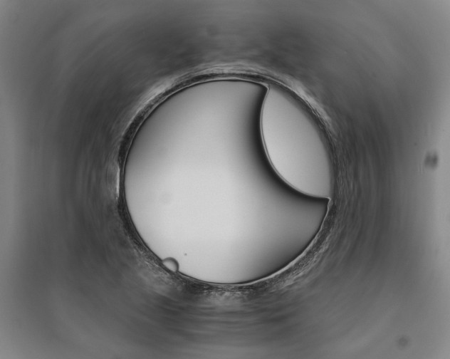 X0000095541221200712141016