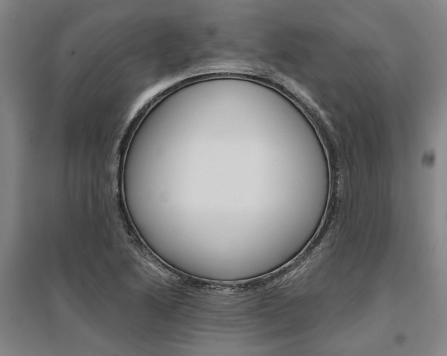 X0000095541222200712141016