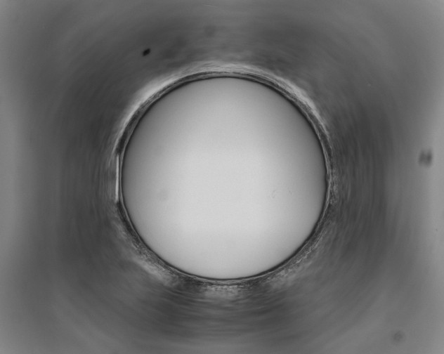 X0000095541223200712141016