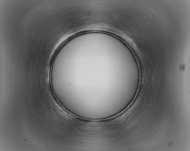 X0000095541224200712141016
