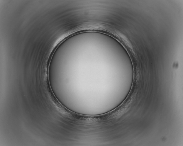 X0000095541226200712141016