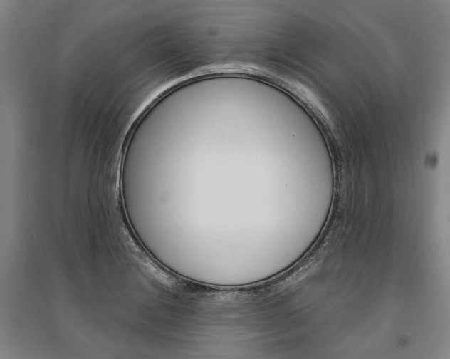X0000095541228200712141016