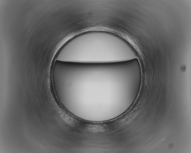 X0000095541229200712141016