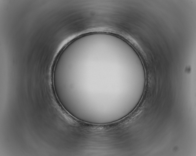 X0000095541230200712141016