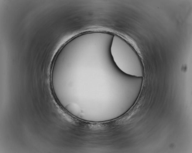 X0000095541231200712141016