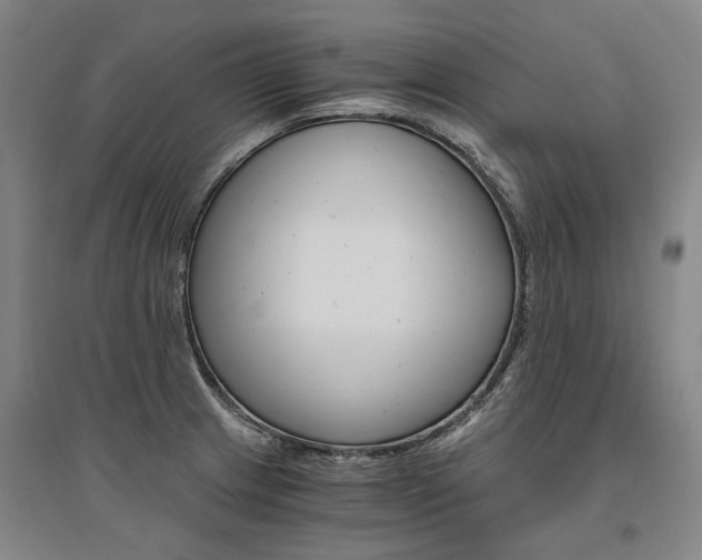 X0000095541233200712141016
