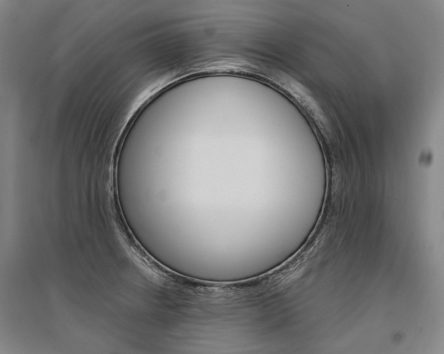 X0000095541234200712141016