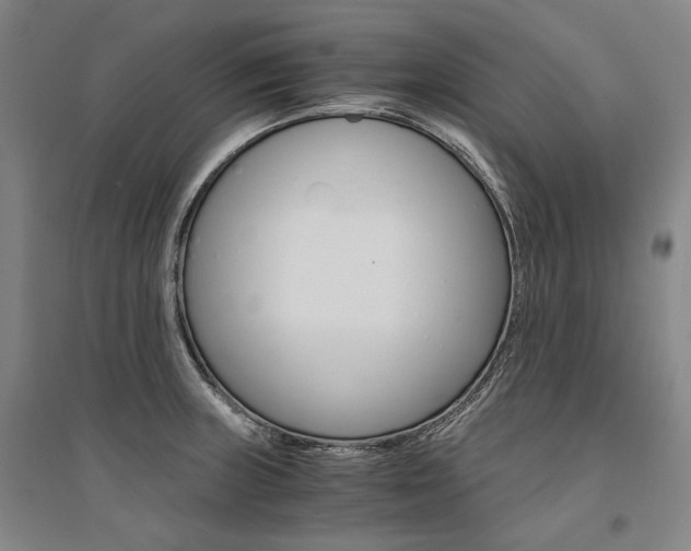 X0000095541235200712141016