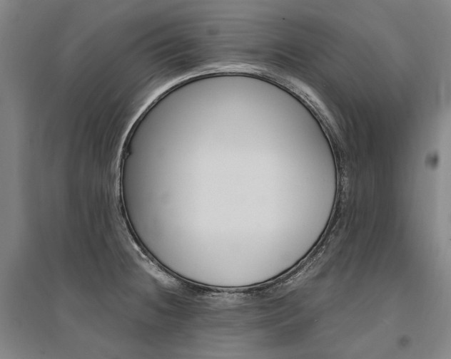X0000095541236200712141016