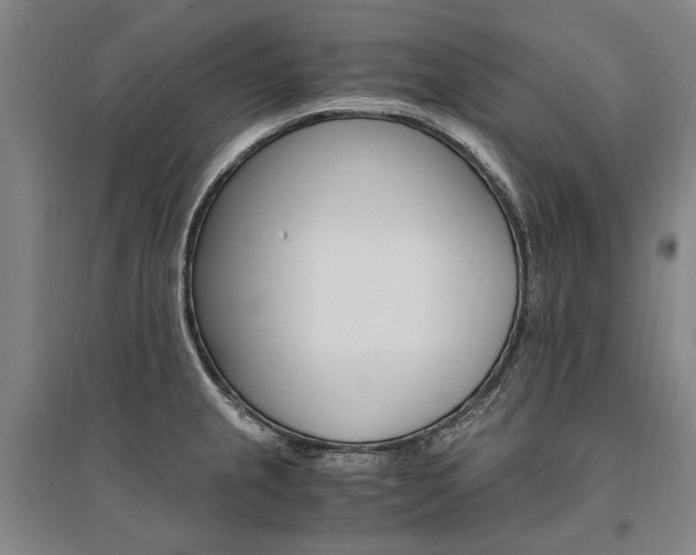 X0000095541237200712141016