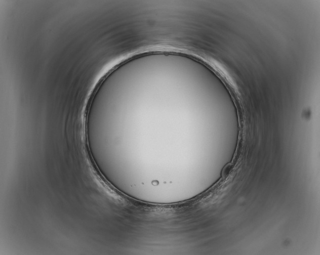 X0000095541238200712141016