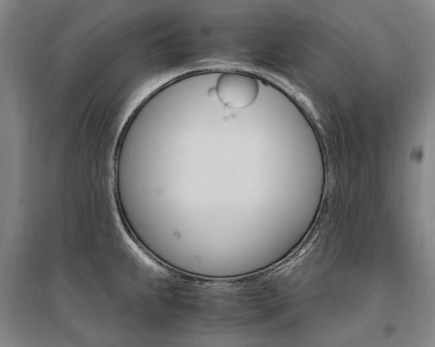 X0000095541239200712141016