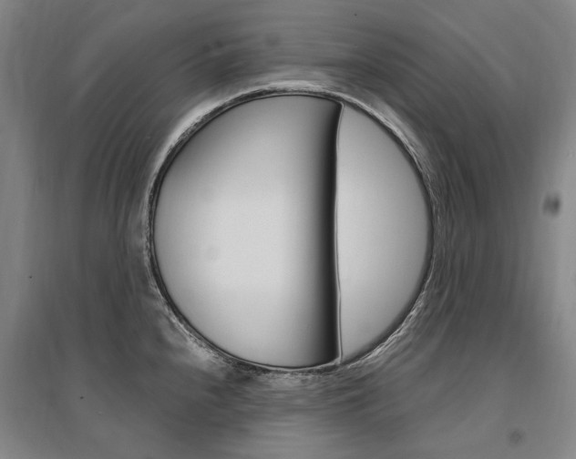 X0000095541240200712141016