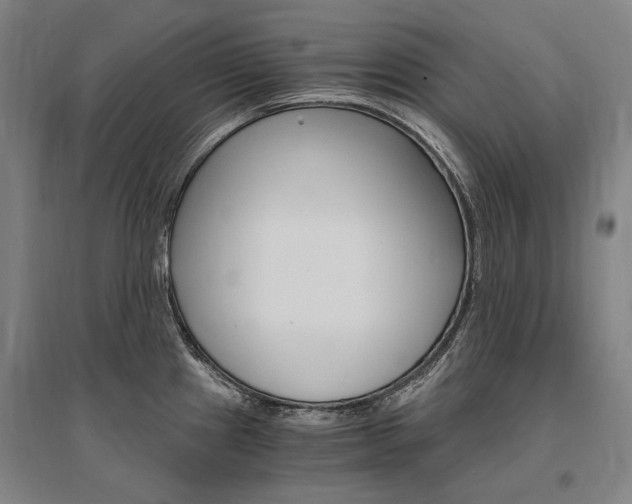 X0000095541241200712141016