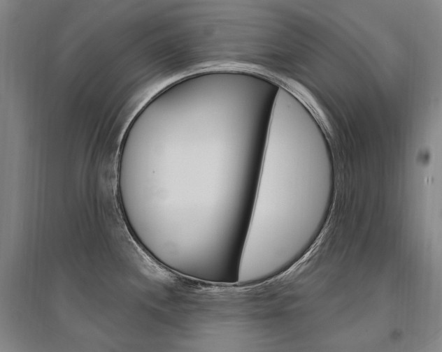 X0000095541244200712141016