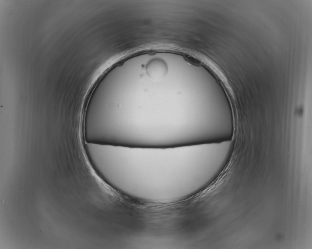 X0000095541245200712141016
