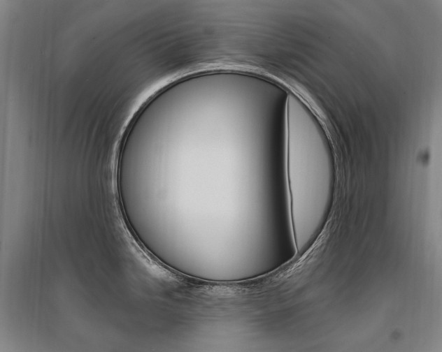X0000095541246200712141016