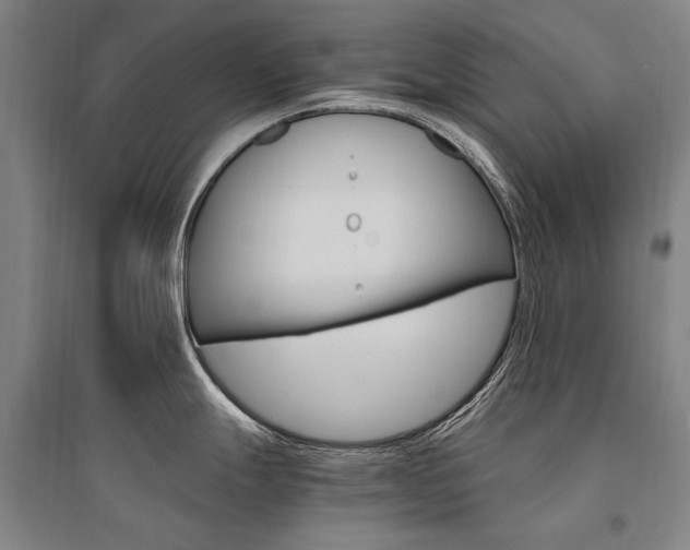 X0000095541247200712141016