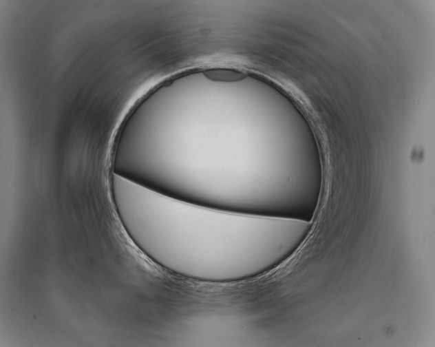 X0000095541248200712141016