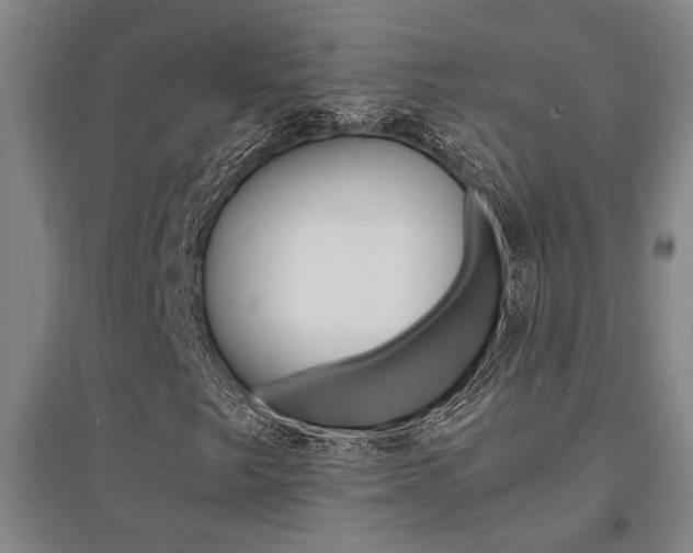X0000095541249200712141016