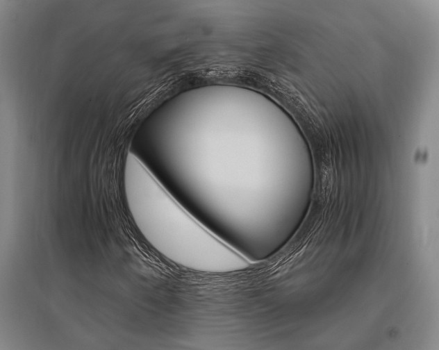 X0000095541250200712141016