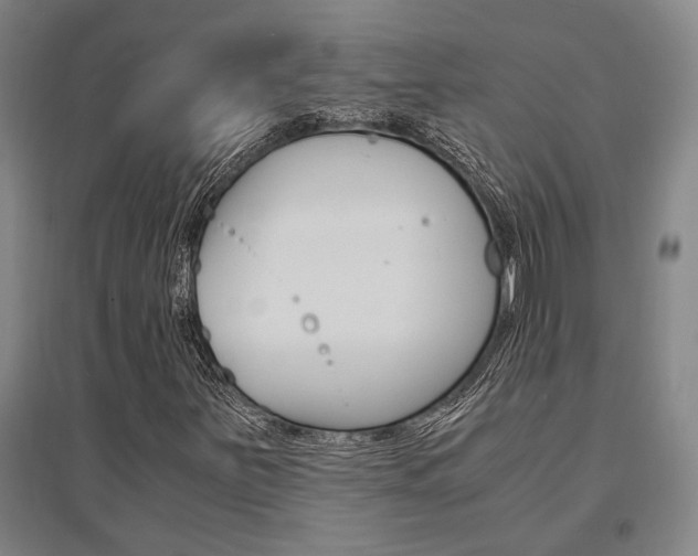 X0000095541251200712141016