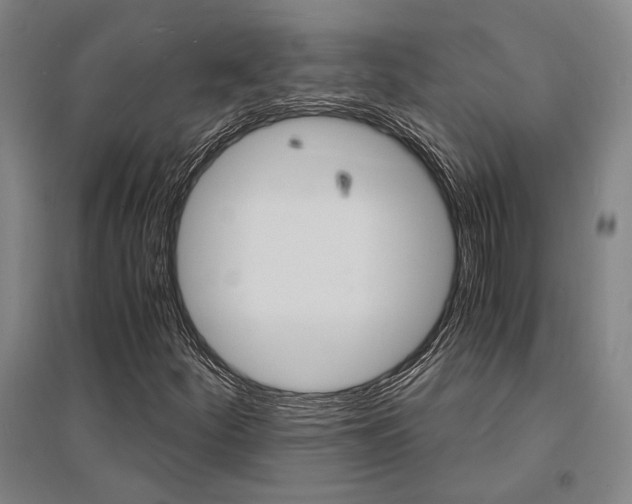 X0000095541252200712141016