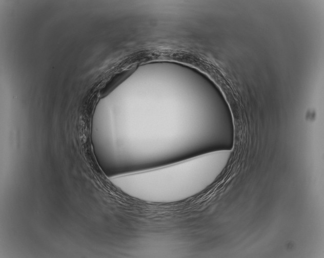 X0000095541253200712141016