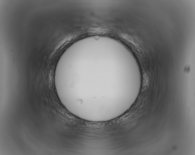 X0000095541254200712141016