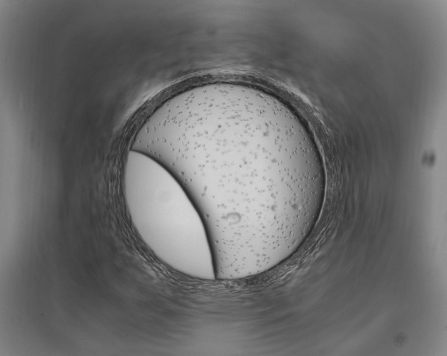 X0000095541255200712141016