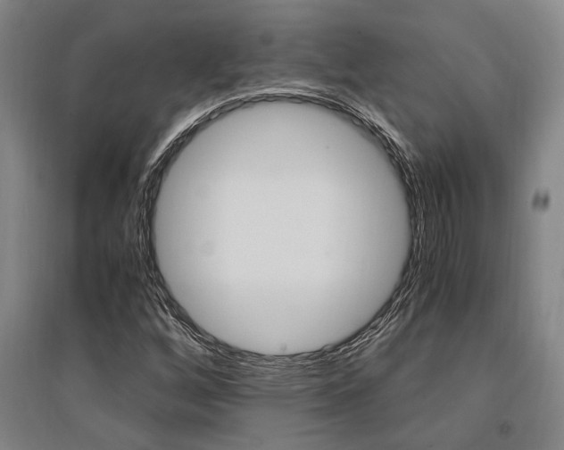 X0000095541256200712141015