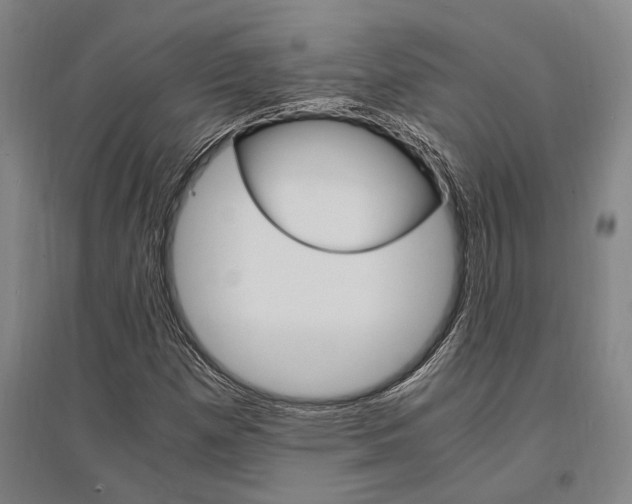 X0000095541257200712141015