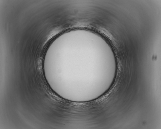 X0000095541258200712141015