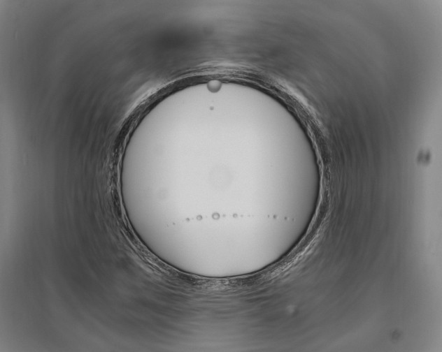 X0000095541259200712141015