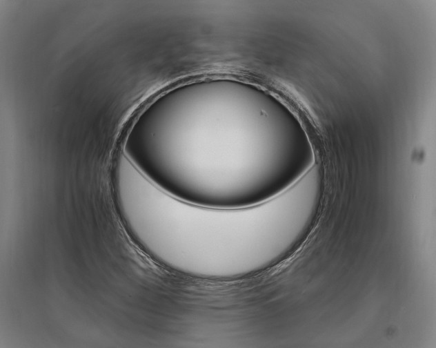 X0000095541260200712141015