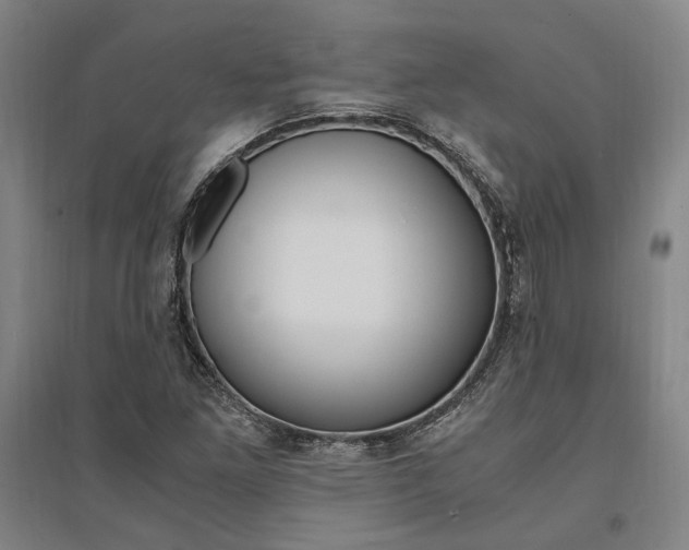 X0000095541261200712141015