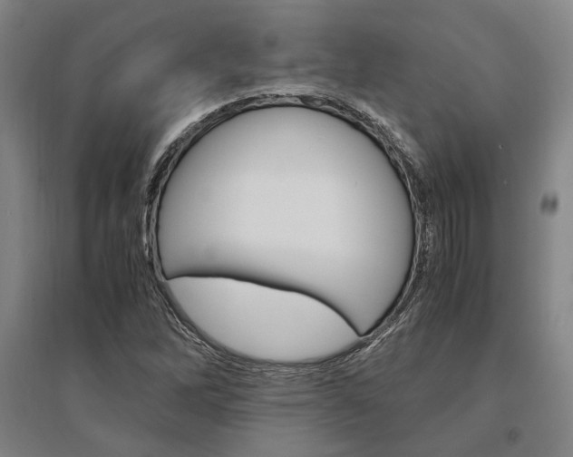 X0000095541262200712141015