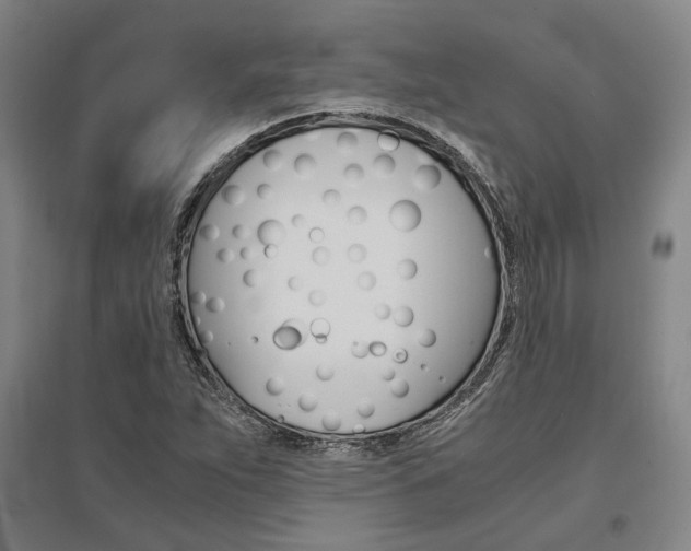 X0000095541263200712141015