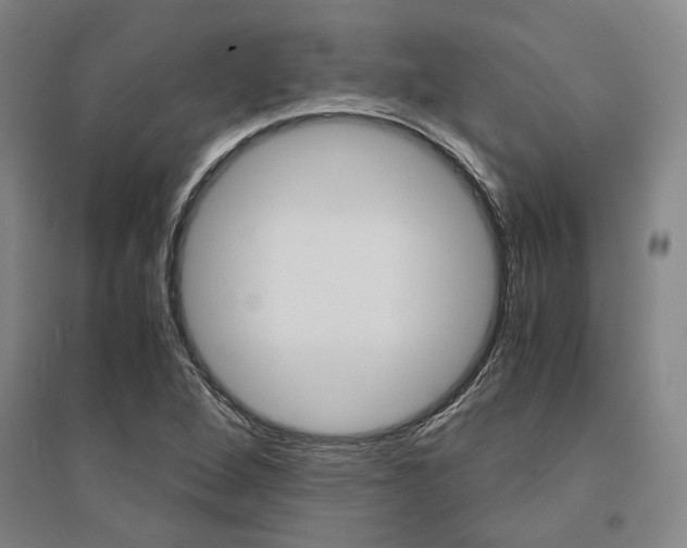 X0000095541264200712141015