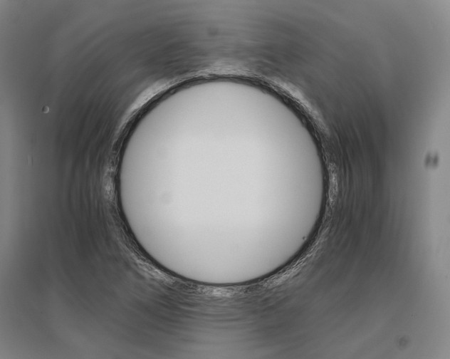 X0000095541266200712141015
