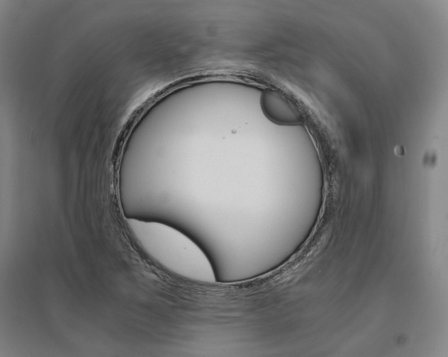 X0000095541267200712141015