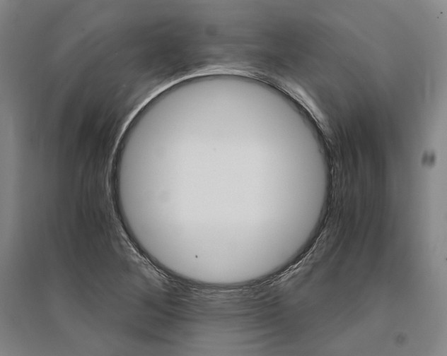 X0000095541268200712141015
