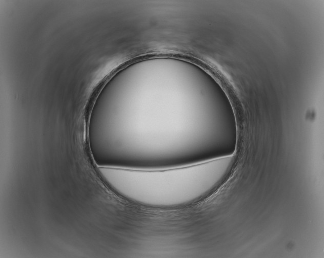 X0000095541269200712141015