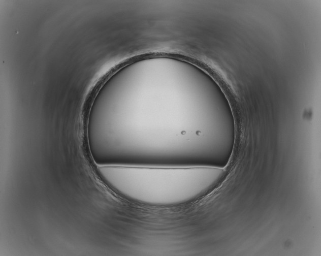 X0000095541270200712141015