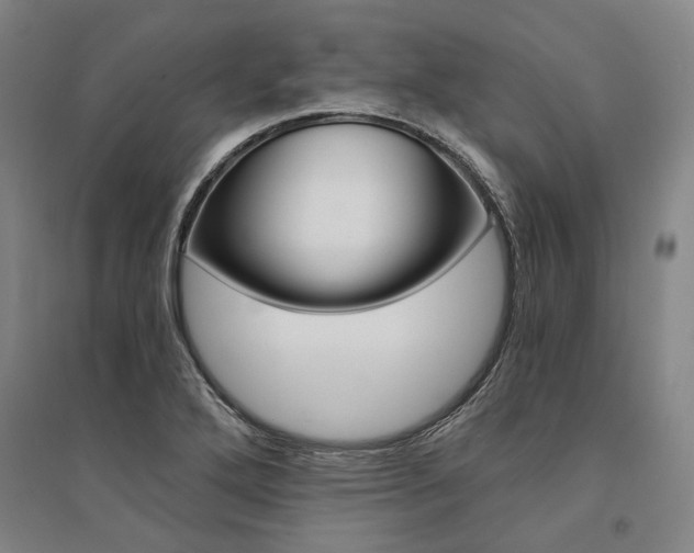 X0000095541272200712141015