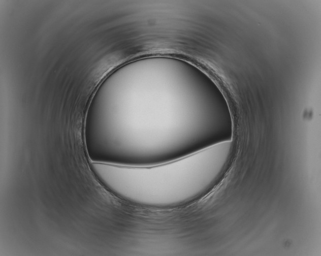 X0000095541273200712141015