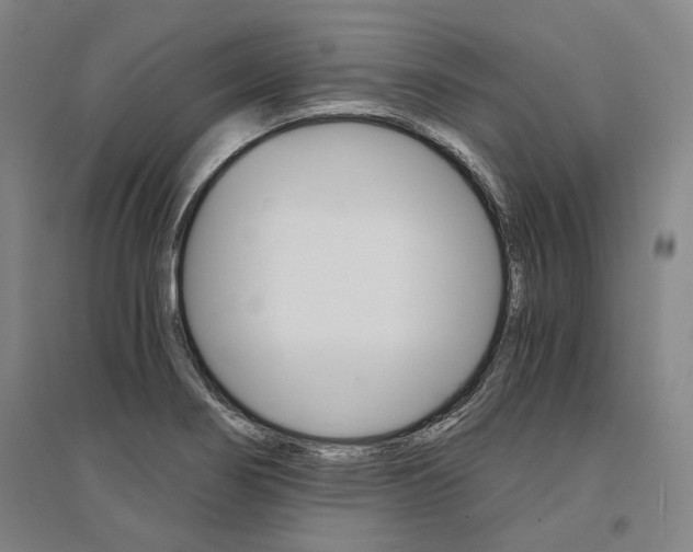 X0000095541274200712141015