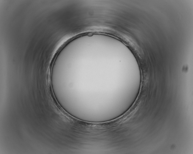X0000095541275200712141015