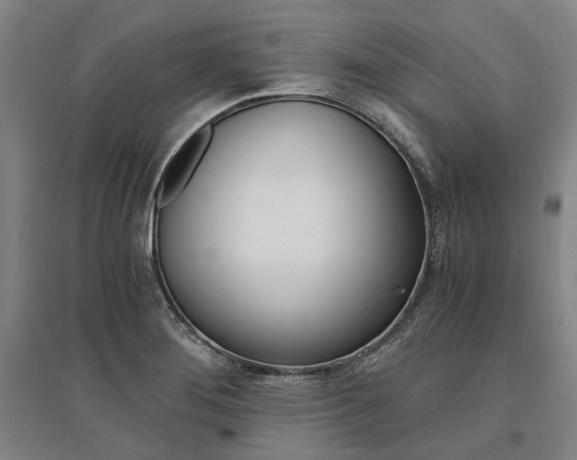 X0000095541276200712141015